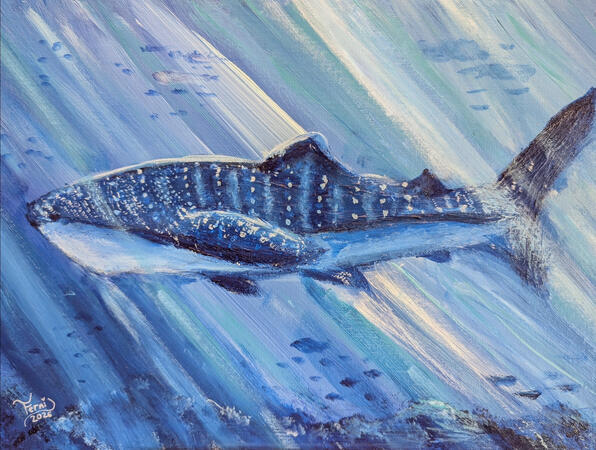 whale
